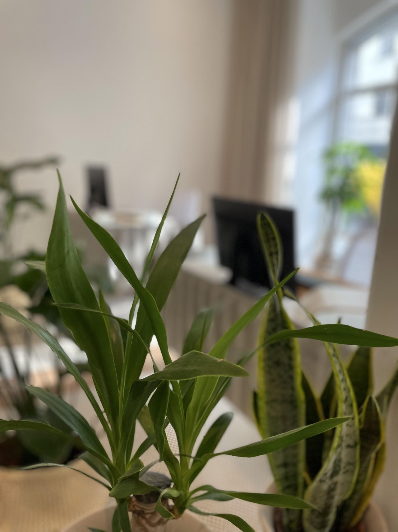 München  Arbeitsplatz Arbeitsplatz für 1 Person (Desk 7) image 21