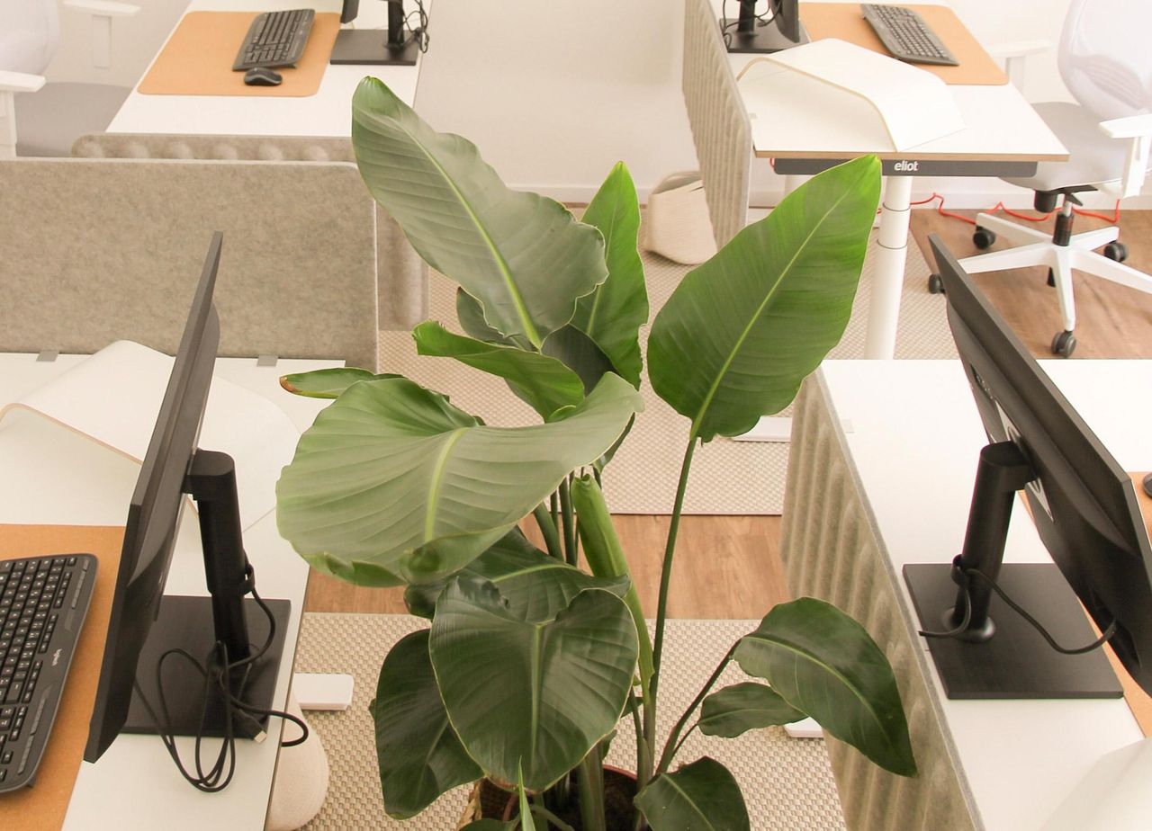 München  Arbeitsplatz Vollausgestatteter, klimatisierter Schreibtisch im Heimatoffice 26 (5) image 20