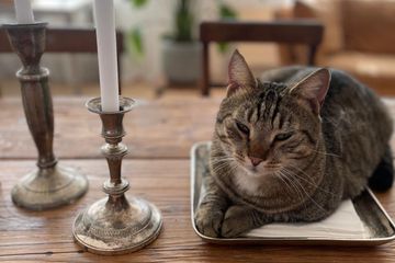 Hamburg Client Meeting Vergaderzalen the loft studio is the perfect, natural environment in the city. image 23