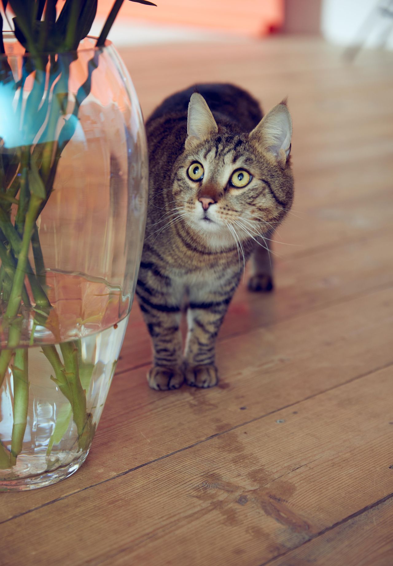 Hamburg Client Meeting Meeting room the loft studio is the perfect, natural environment in the city. image 30