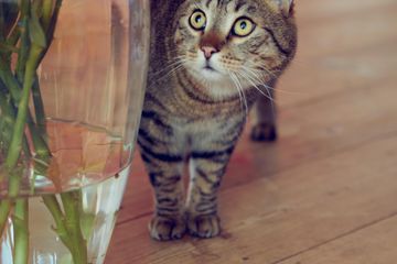 Hamburg Client Meeting Vergaderzalen the loft studio is the perfect, natural environment in the city. image 30