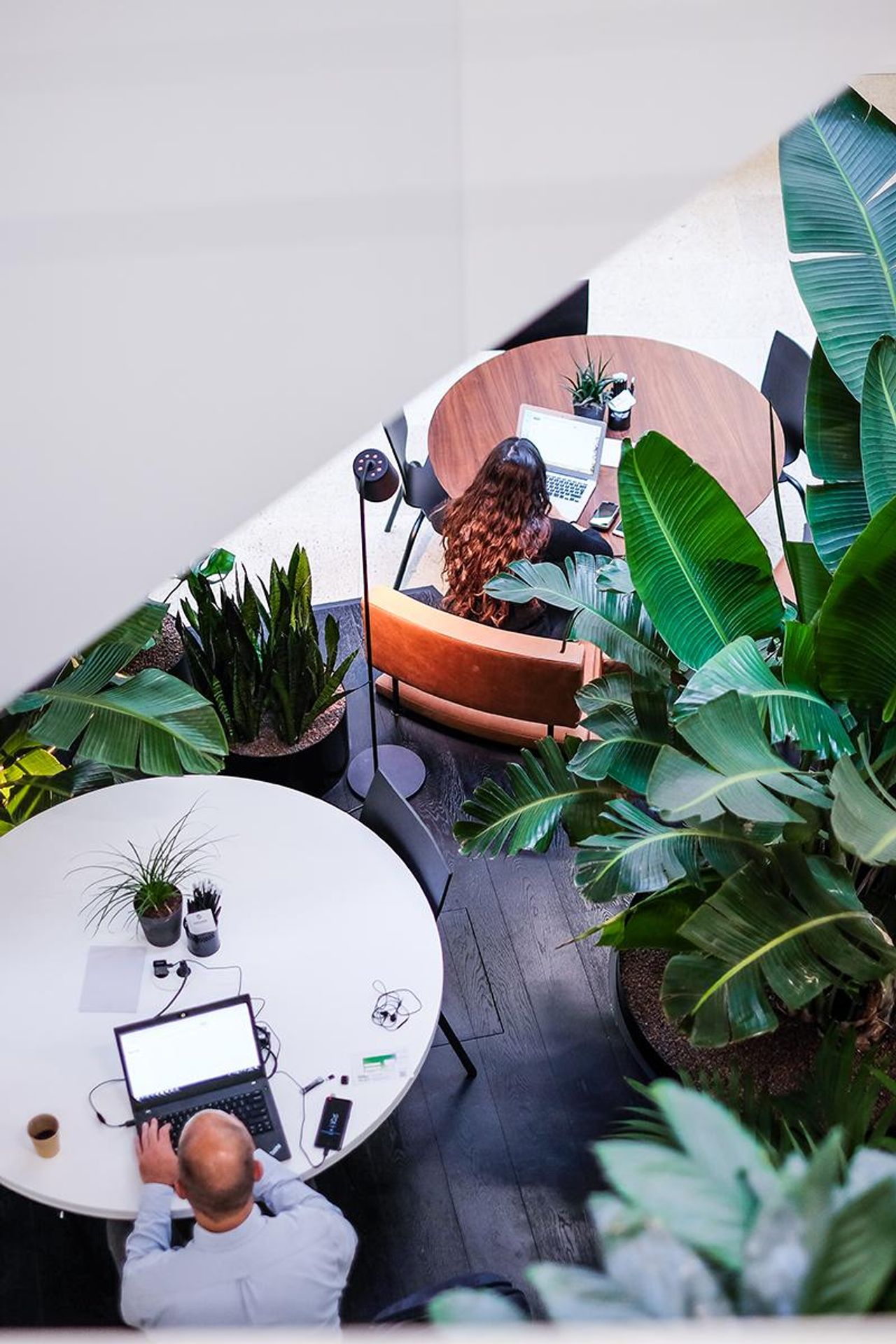 Amsterdam  Coworking spaces Business Club image 3