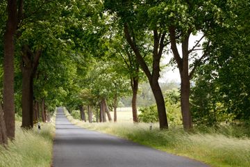 Rest of the World Kreatives Meeting Conference Hotel Konferenzraum image 7