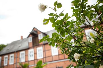 Rest van de wereld Kreatives Meeting Conference Hotel Konferenzraum image 10