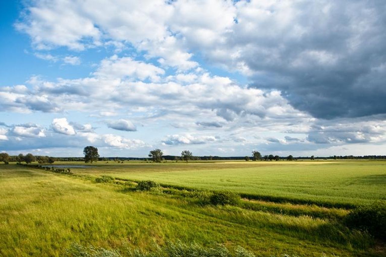 Rest van de wereld Kreatives Meeting Conference Hotel Konferenzraum image 5