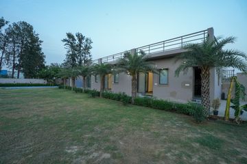 Rest of the World Open Air Location Miracle Garden by Elixir image 7