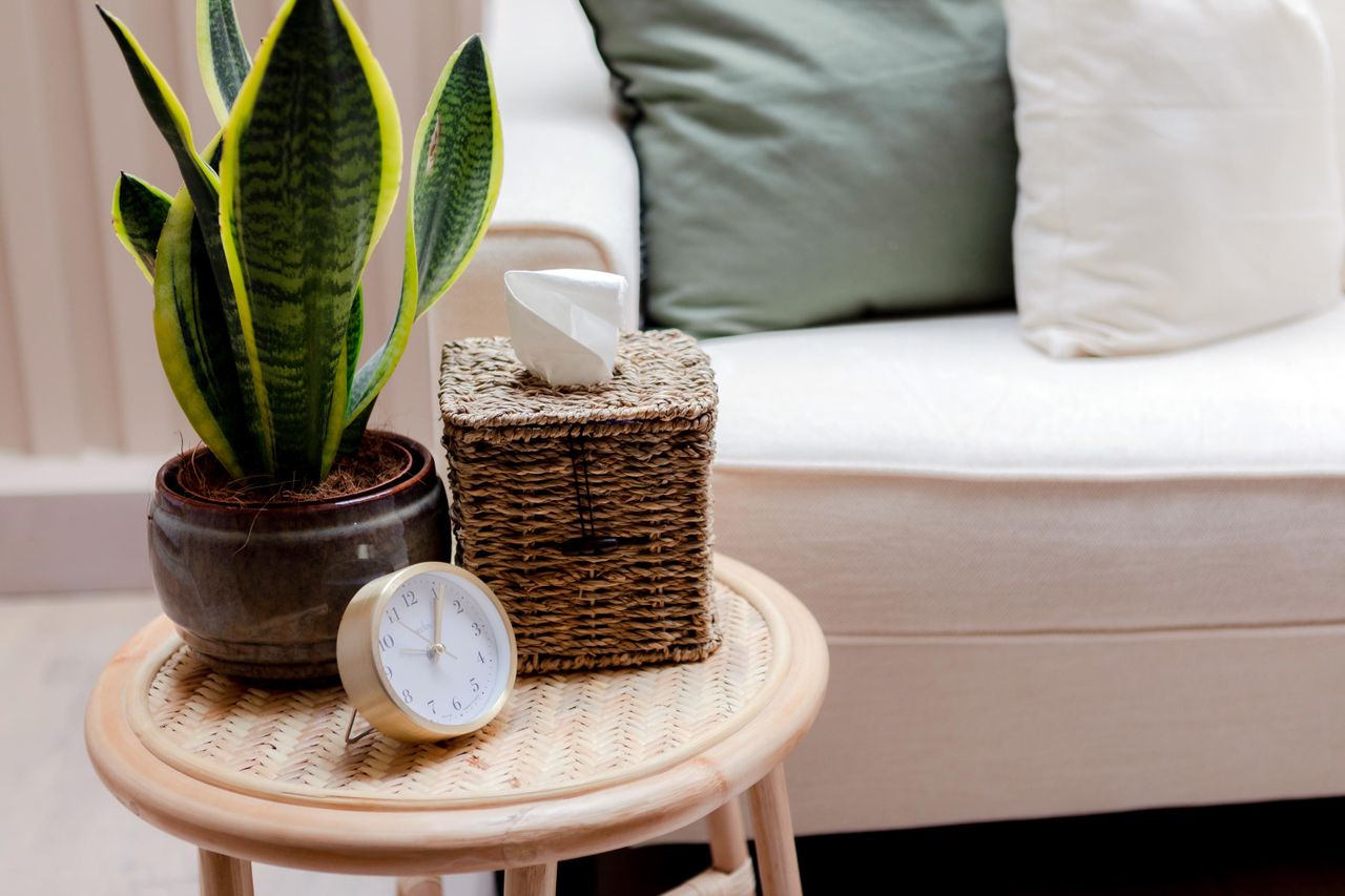 Londen  Praktijk The Maple Room image 4