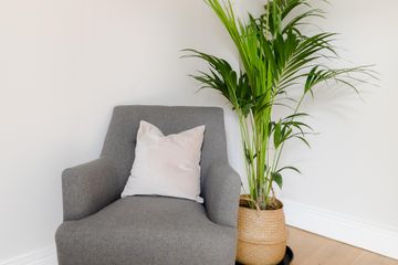 London Practice The Birch Room image 8