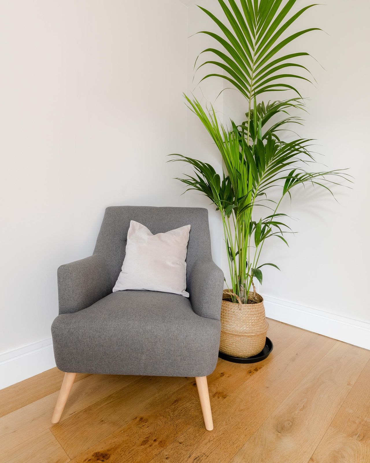 Londen  Praktijk The Birch Room image 8