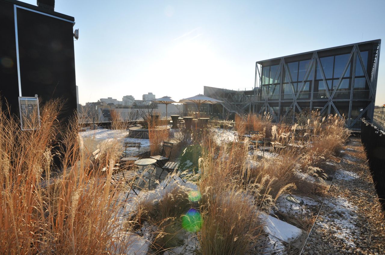 Rest der Welt    image 3