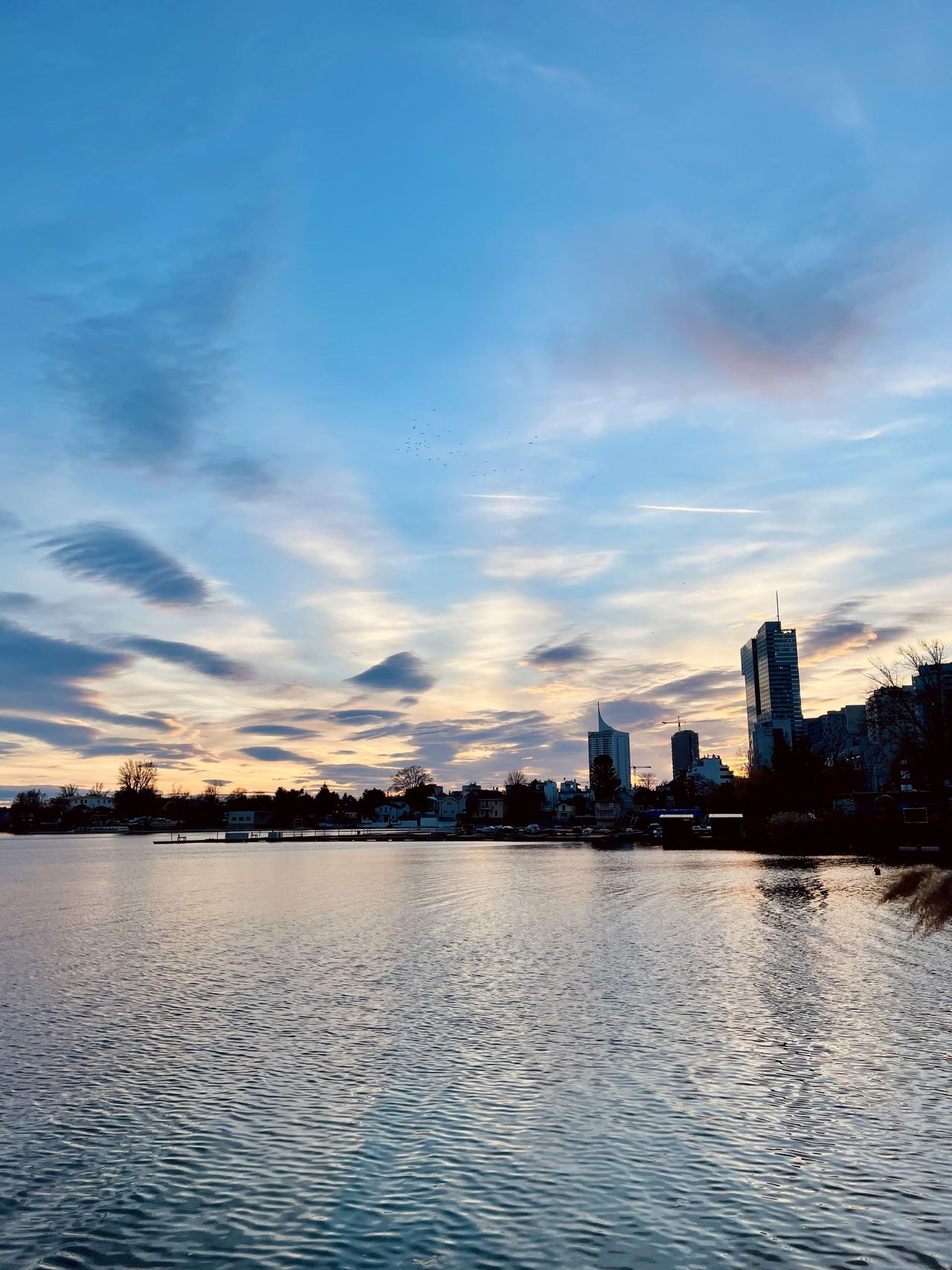 Vienna Mobiles Arbeiten Seminar rooms Danuberoom image 9