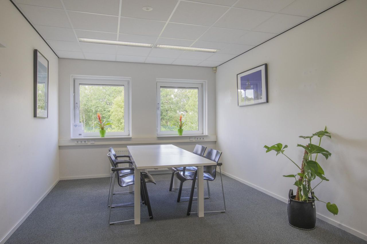 Emmen  Meeting room  image 7