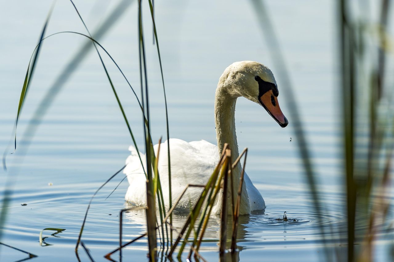 Potsdam PR & Marketing Event Tagungs-/Konferenzraum Traumhaftes Schloss in idyllischer Umgebung image 10