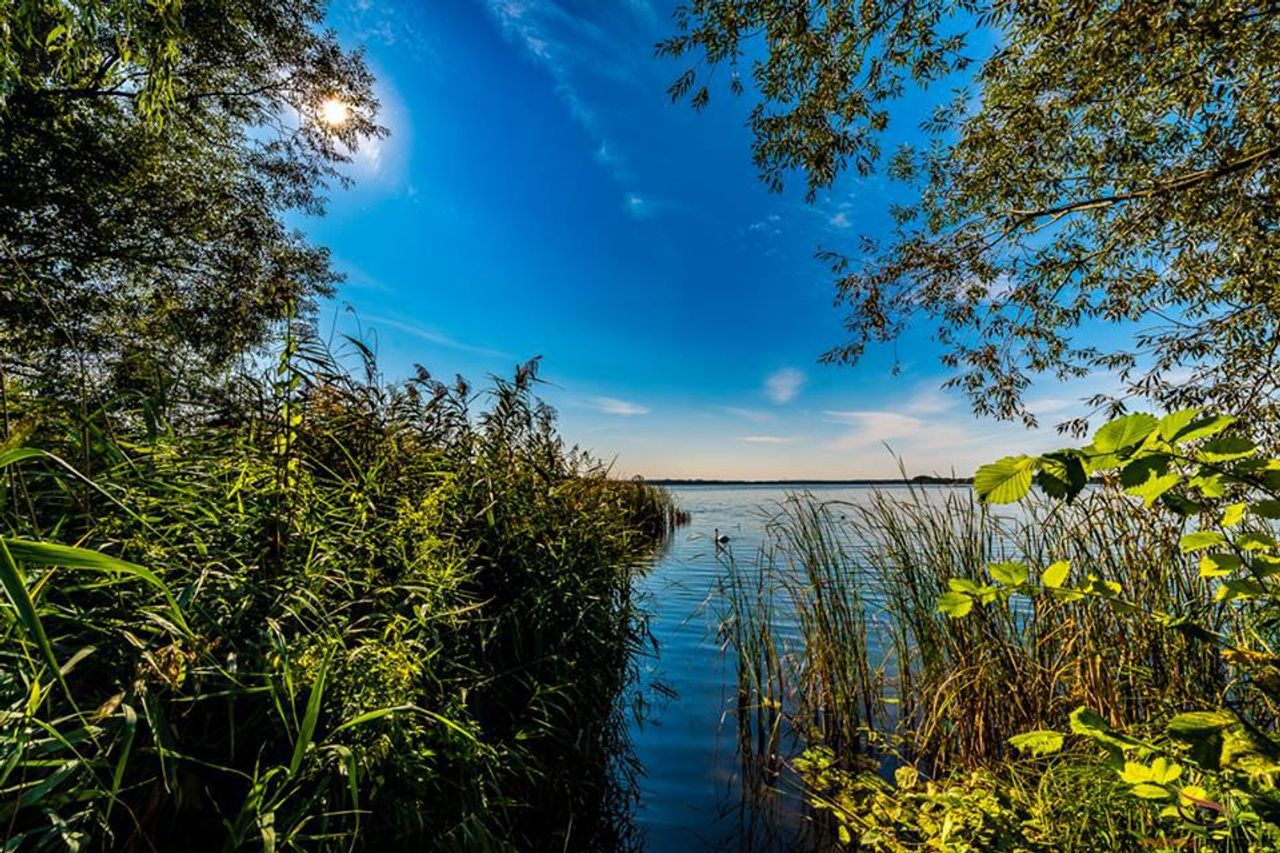 Potsdam PR & Marketing Event Tagungs-/Konferenzraum Traumhaftes Schloss in idyllischer Umgebung image 10