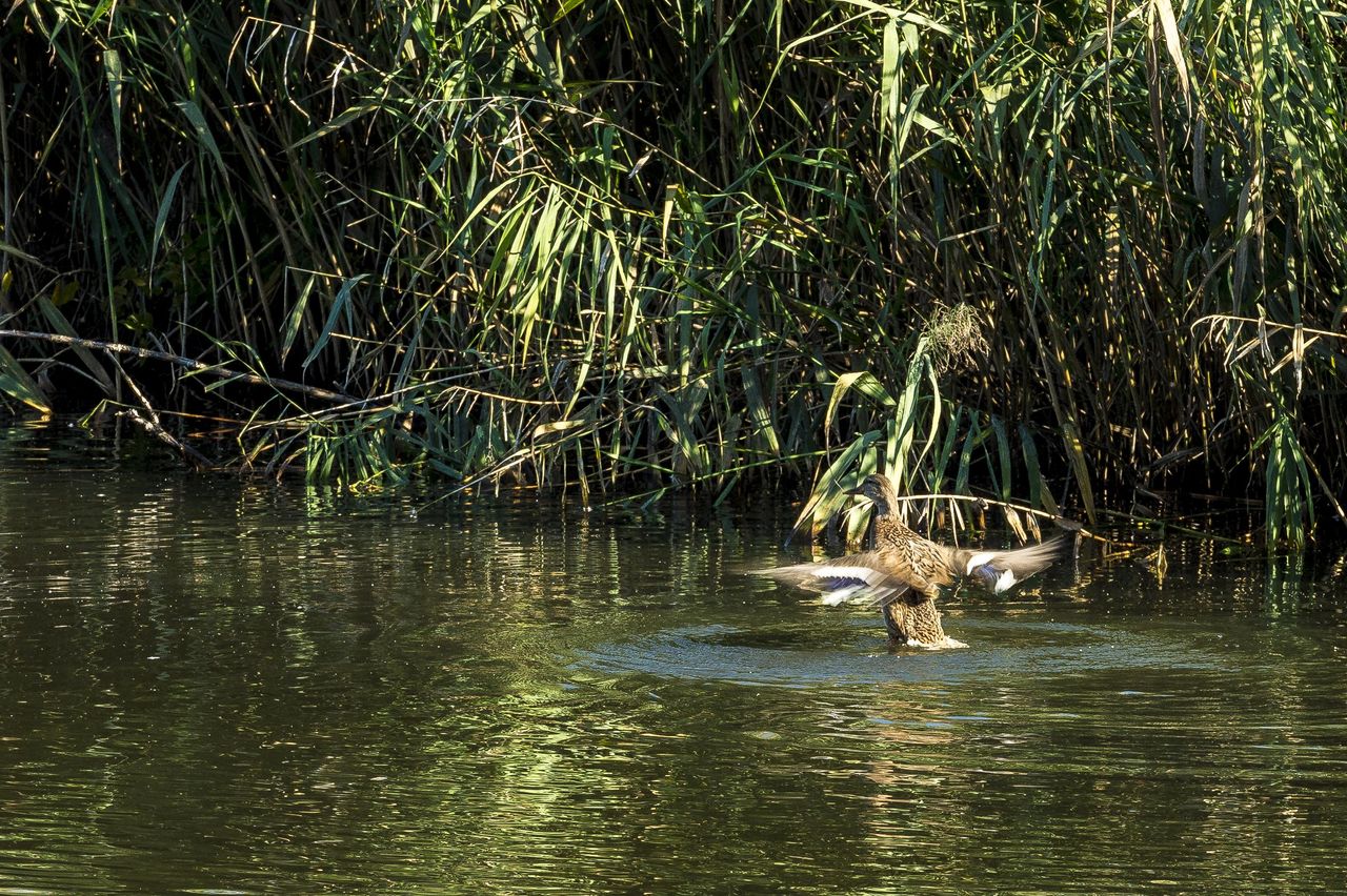 Potsdam PR & Marketing Event Tagungs-/Konferenzraum Traumhaftes Schloss in idyllischer Umgebung image 10