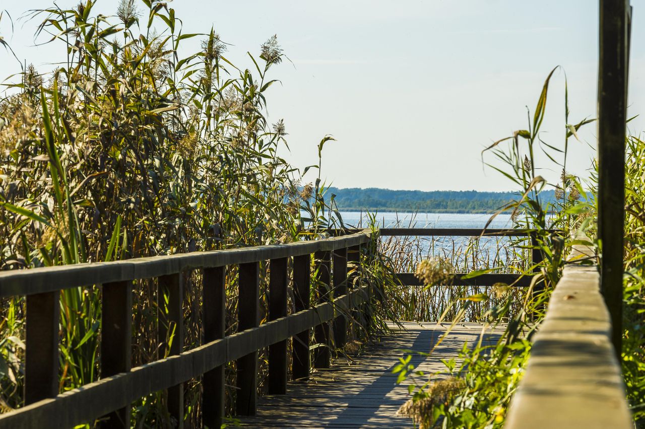 Potsdam PR & Marketing Event Tagungs-/Konferenzraum Traumhaftes Schloss in idyllischer Umgebung image 10