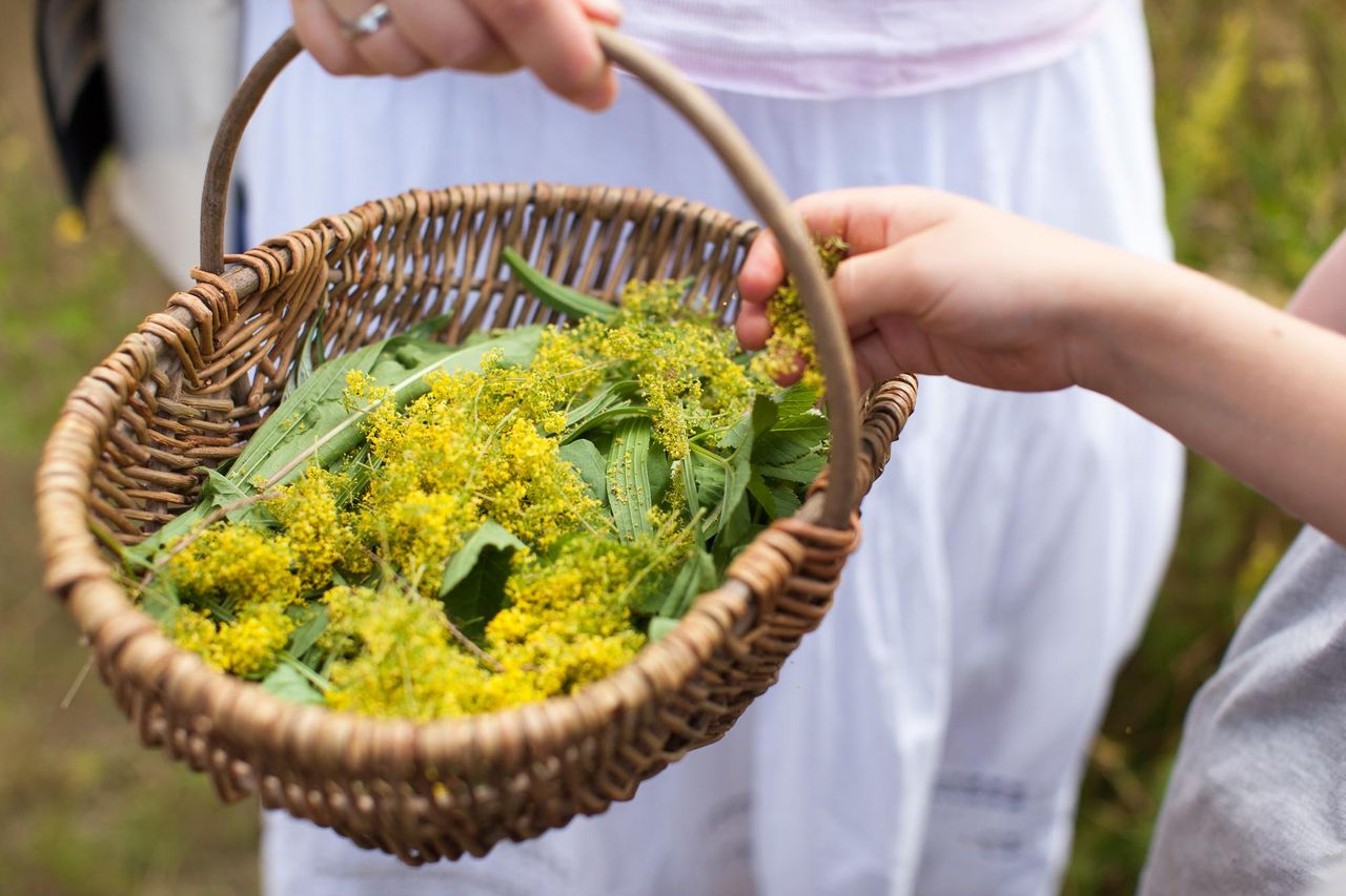Potsdam PR & Marketing Event Tagungs-/Konferenzraum Traumhaftes Schloss in idyllischer Umgebung image 10