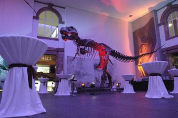 Rest der Welt Kultur Event Senckenberg Naturmuseum image 10