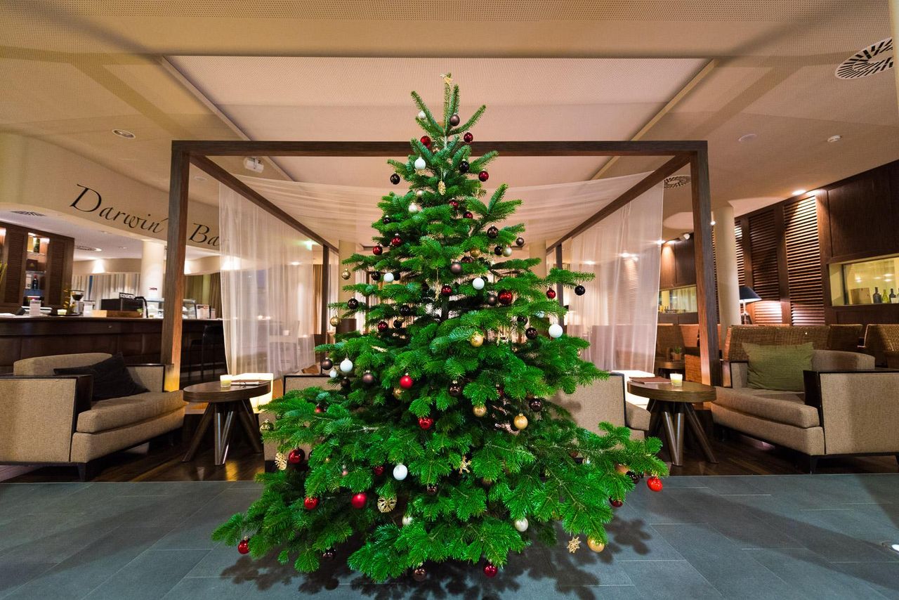 Rest der Welt PR & Marketing Event Tagungs-/Konferenzraum St. Martins Therme & Lodge in Frauenkirchen image 10