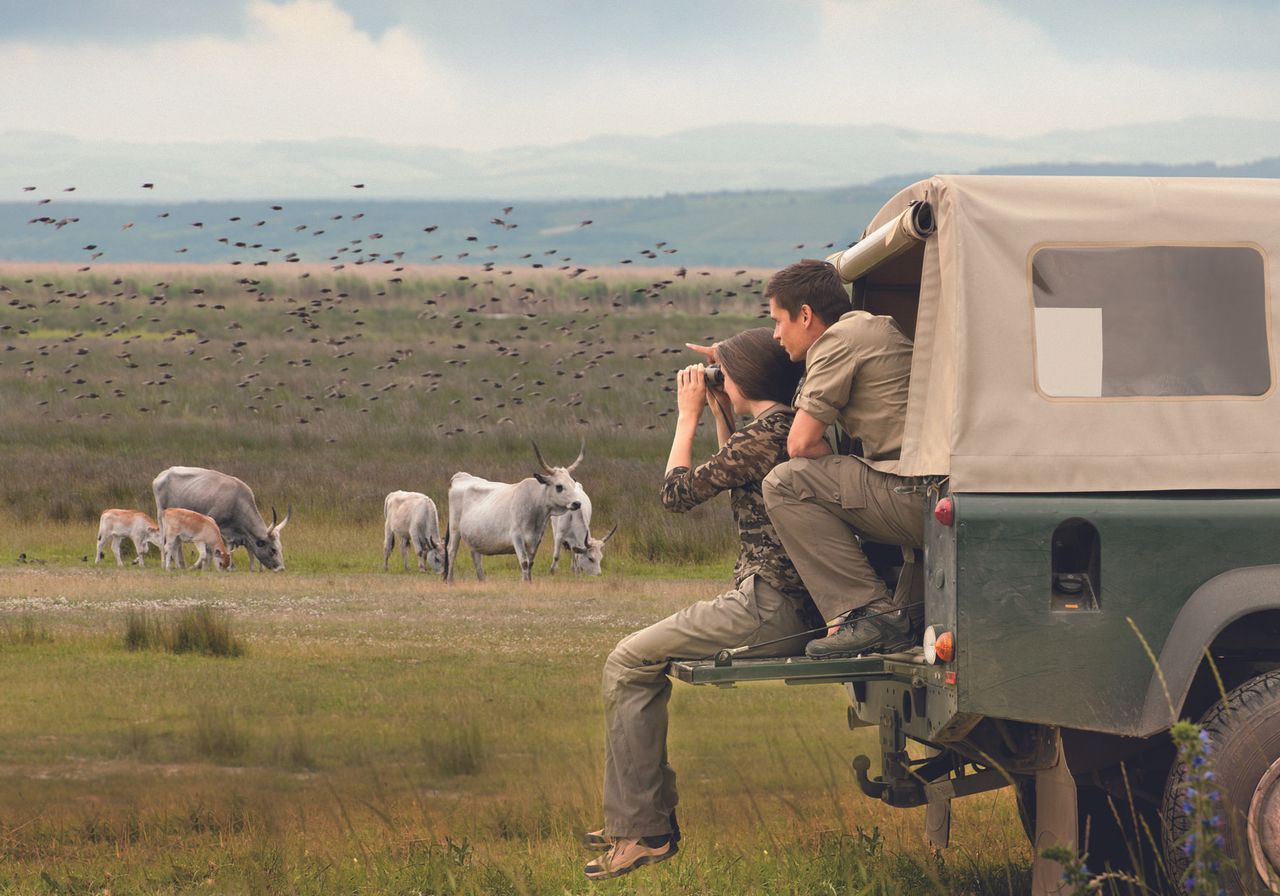 Rest der Welt PR & Marketing Event Tagungs-/Konferenzraum St. Martins Therme & Lodge in Frauenkirchen image 10