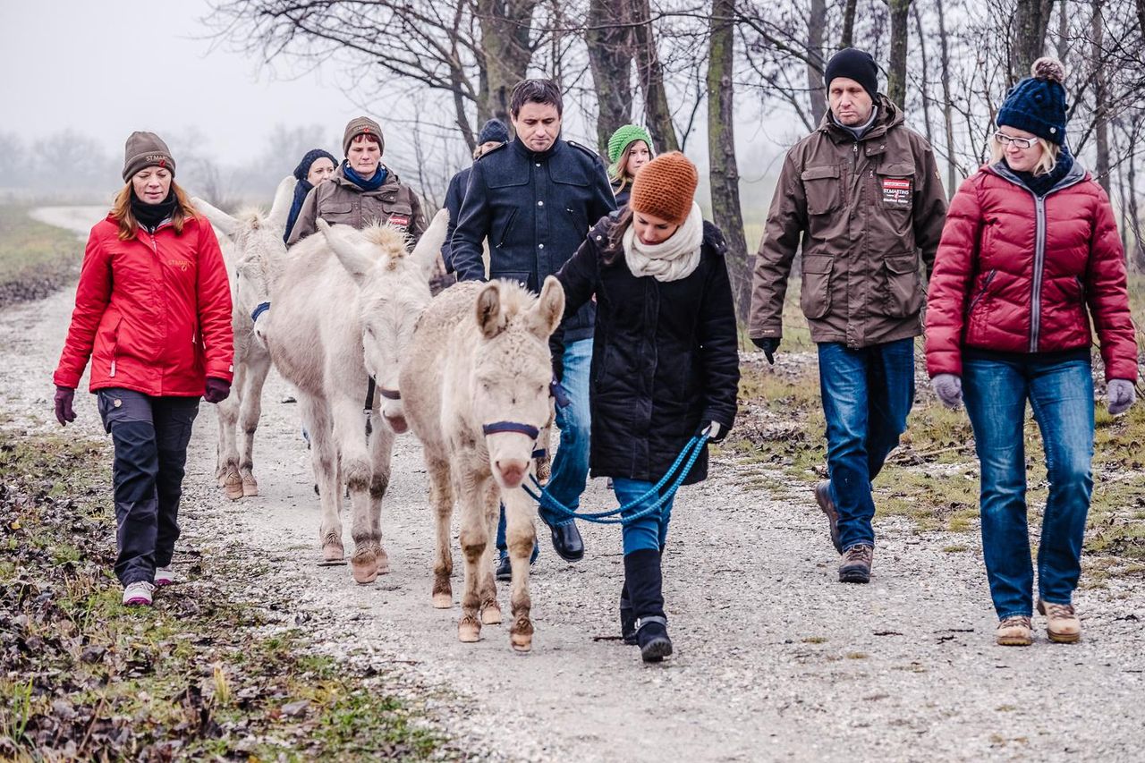Rest der Welt PR & Marketing Event Tagungs-/Konferenzraum St. Martins Therme & Lodge in Frauenkirchen image 10