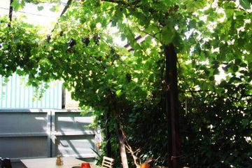 Rest der Welt Geburtstag  Zur Insel image 10