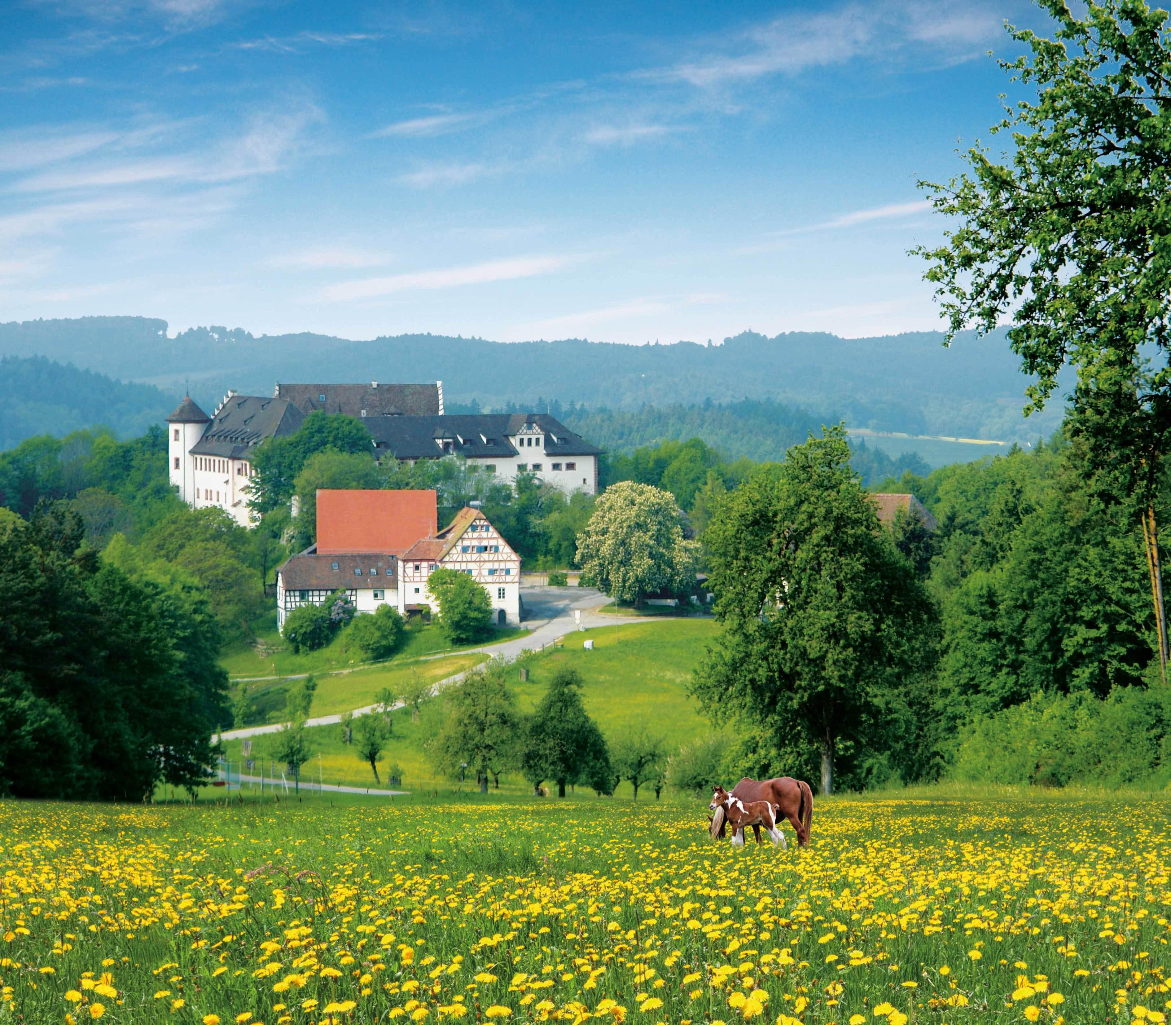 schloss-hohenfels-book-venue-online