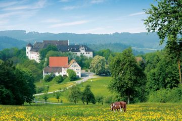 Rest der Welt Geburtstag Veranstaltungsraum Zehntscheuer image 1