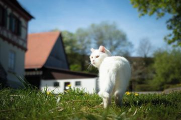 Rest der Welt Geburtstag Veranstaltungsraum Zehntscheuer image 6