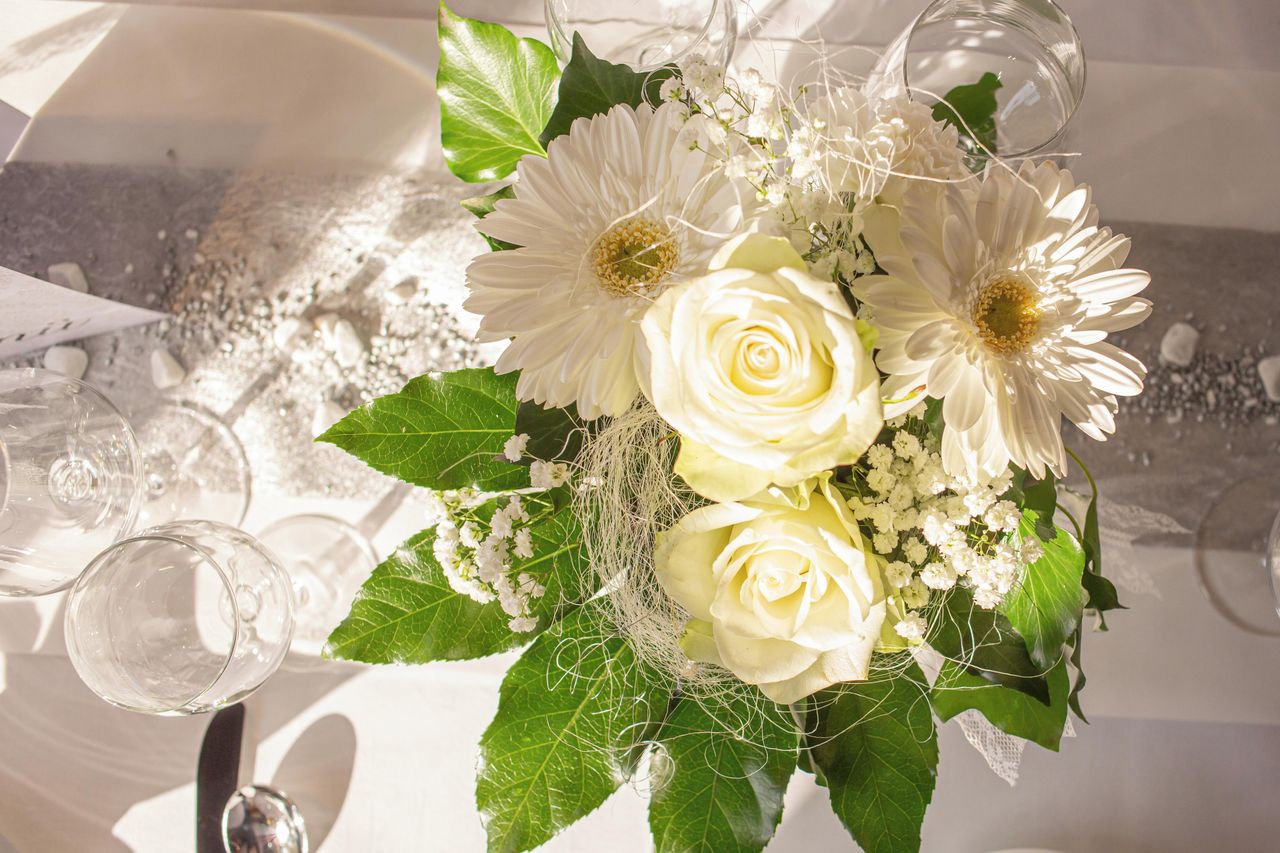 Nürnberg PR & Marketing Event Schiff/Eventschiff/Floß Mississippi Queen Nürnberg image 46