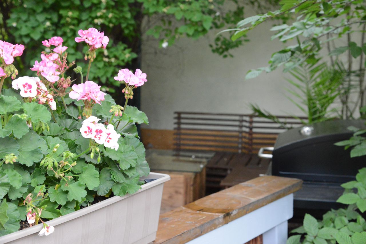 Berlin Coworking Coworking spaces comuna 57 image 16