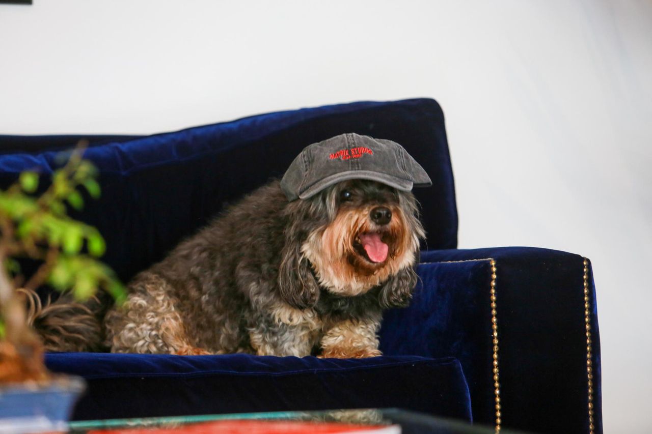 London Mobile Working Office space Matrix Studios image 3