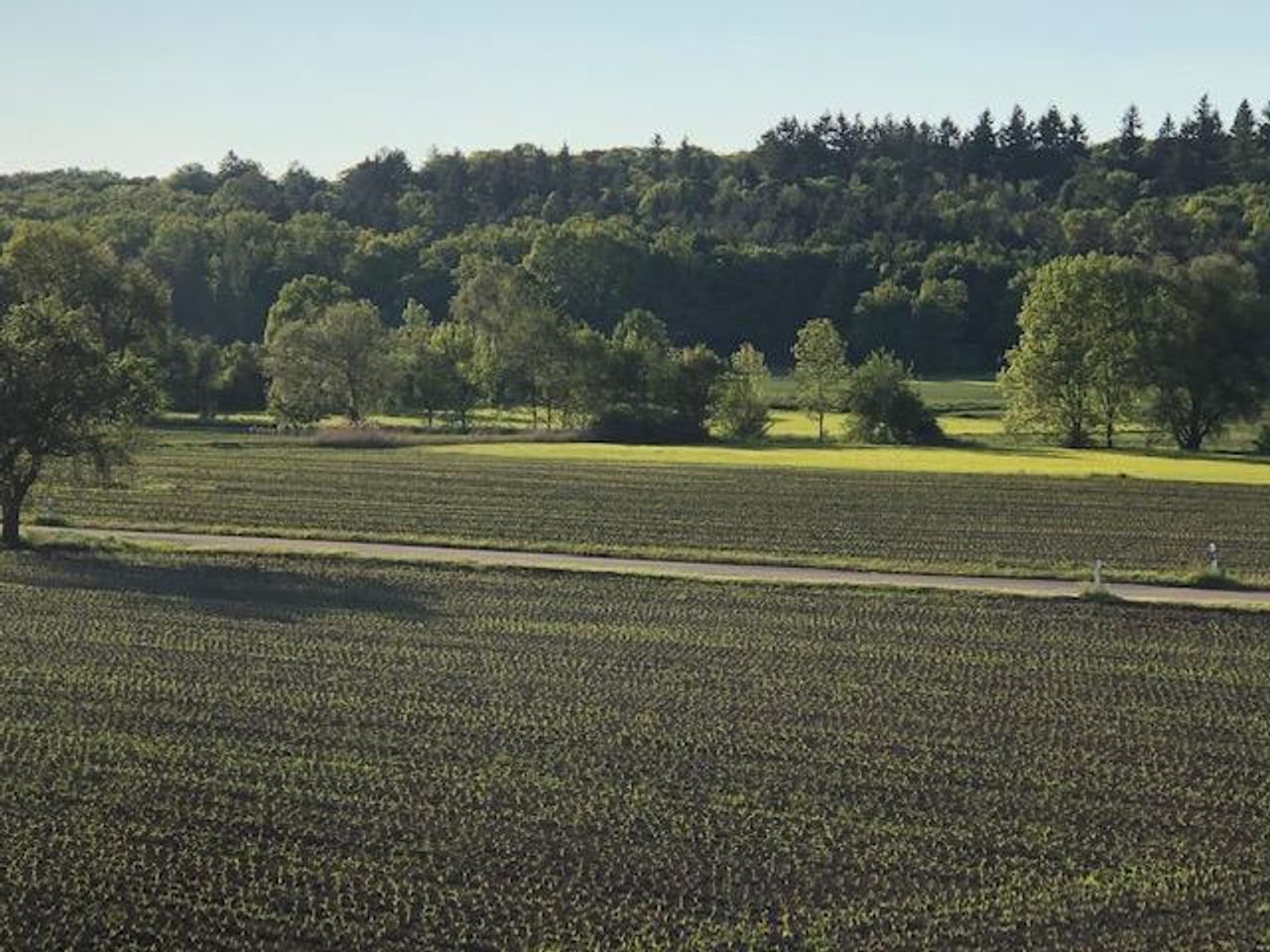 Leonberg Kreatives Meeting Boardroom  image 6