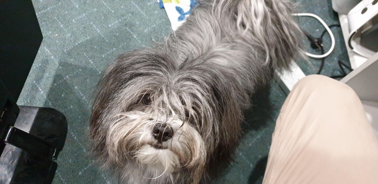 Rest of the World    image 26