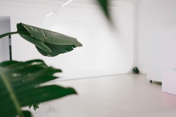 Hamburg Mobiles Arbeiten Photostudio  image 1