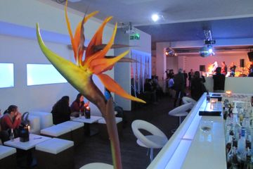 Berg Am Starnberger See Geburtstag Bar/Nachtclub/Lounge Drehbar image 10
