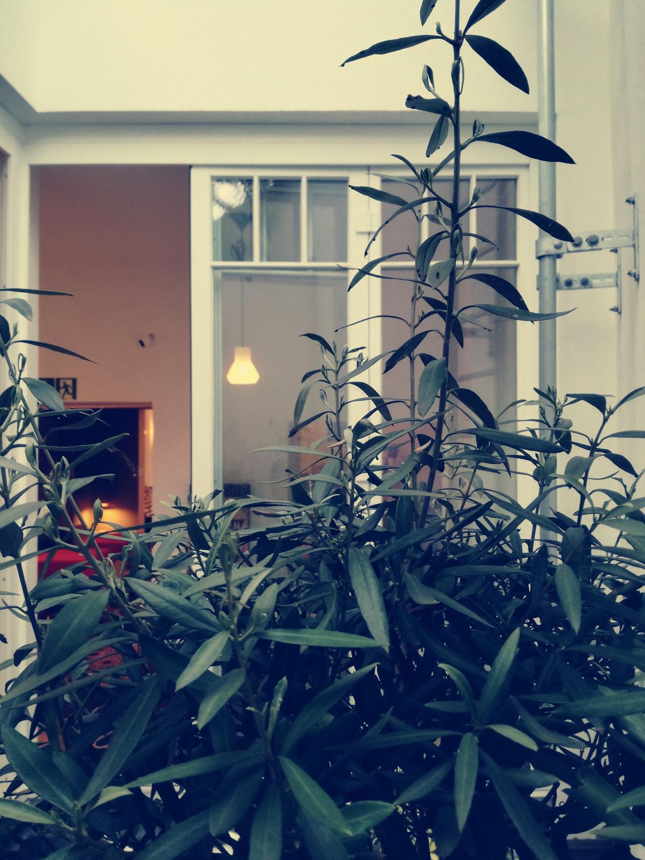 Köln PR & Marketing Event Designhotel Geburtstag oder Meeting in kreativer Umgebung image 10