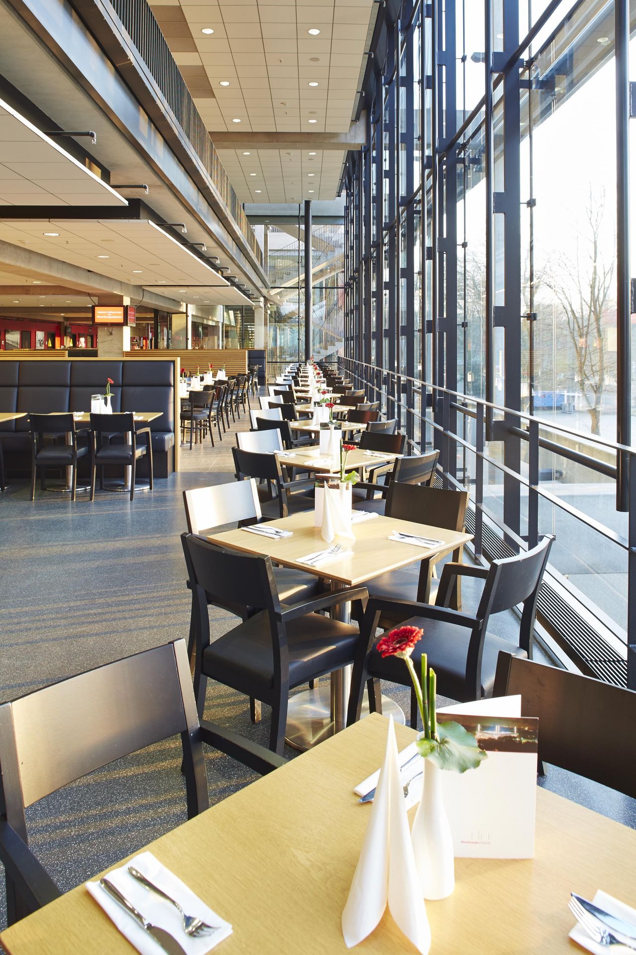 Frechen PR & Marketing Event Erlebnislocation/Sportstätte RheinEnergieSTADION image 10