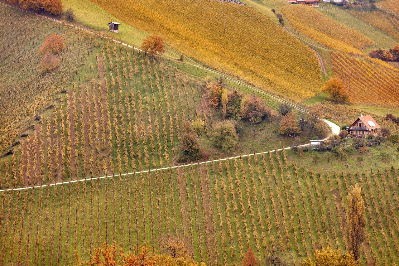 Rest der Welt PR & Marketing Event Tagungs-/Konferenzraum Einzigartige Location in der romantischen Südsteiermark image 10
