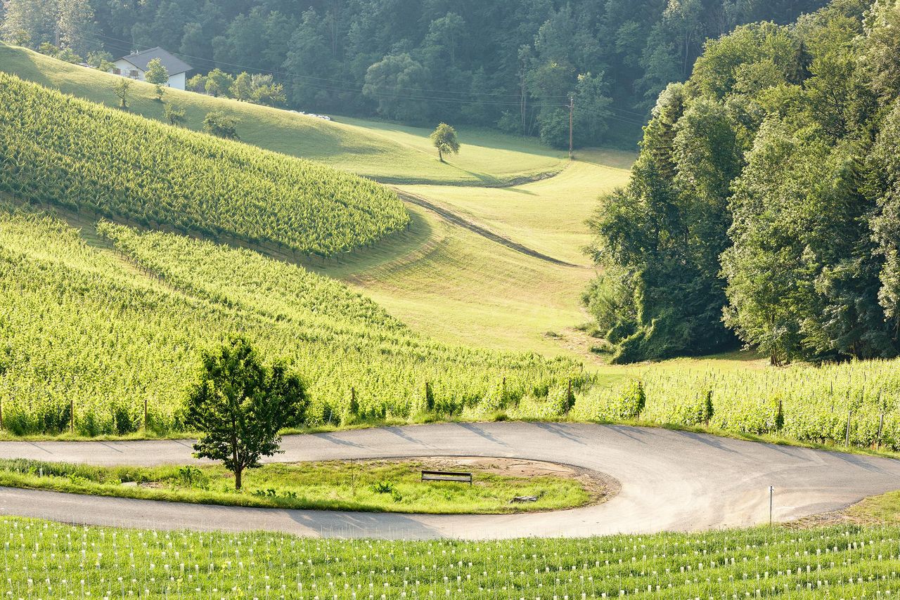 Rest der Welt PR & Marketing Event Tagungs-/Konferenzraum Einzigartige Location in der romantischen Südsteiermark image 10