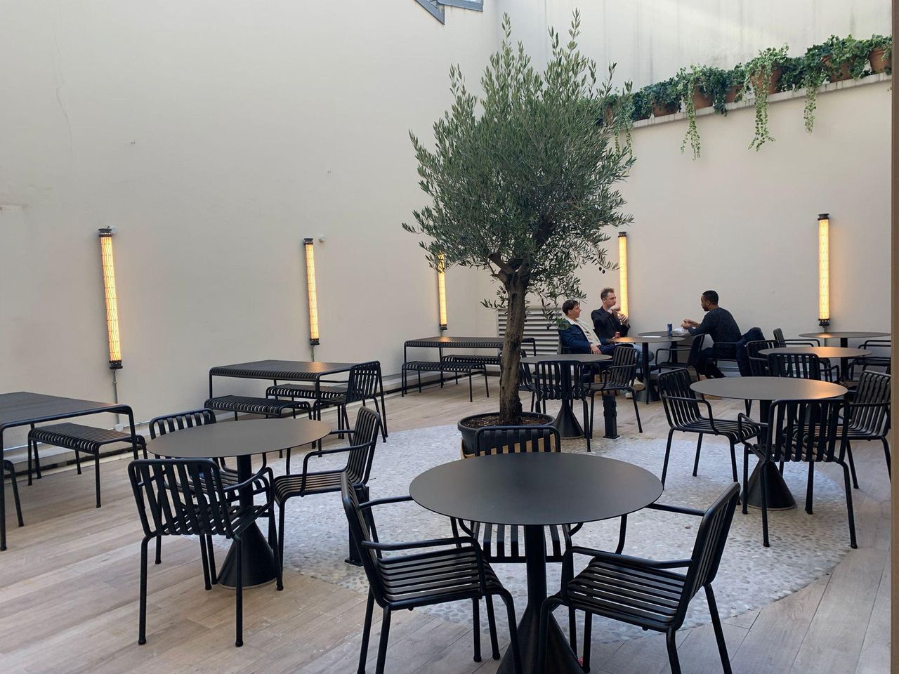 Rest of the World    image 4