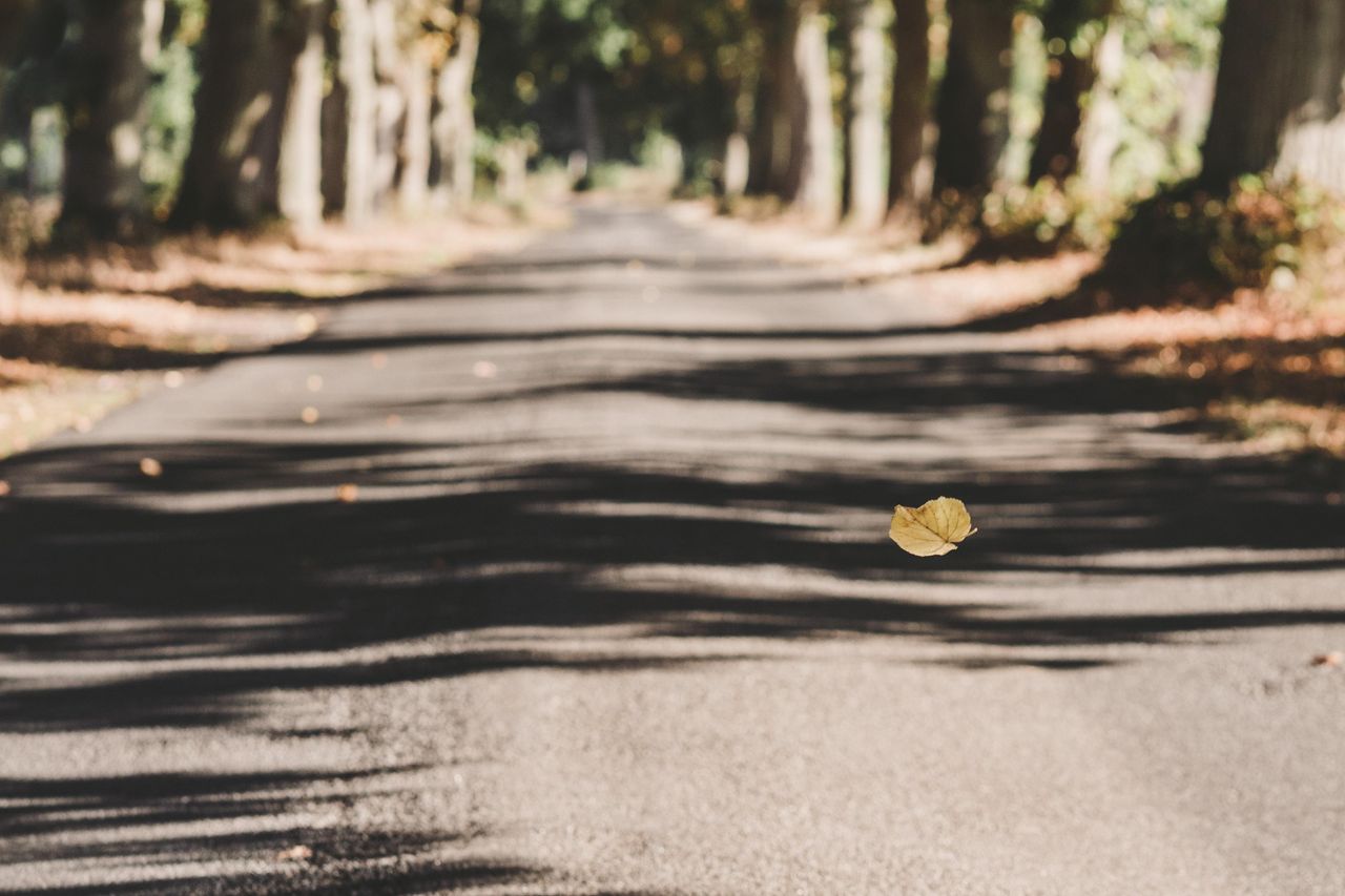 Rest der Welt PR & Marketing Event Schloss/Burg/Gut/Villa Gut Boltenhof image 10