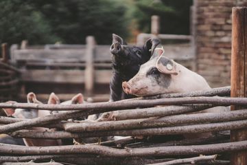 Rest der Welt PR & Marketing Event Schloss/Burg/Gut/Villa Gut Boltenhof image 10