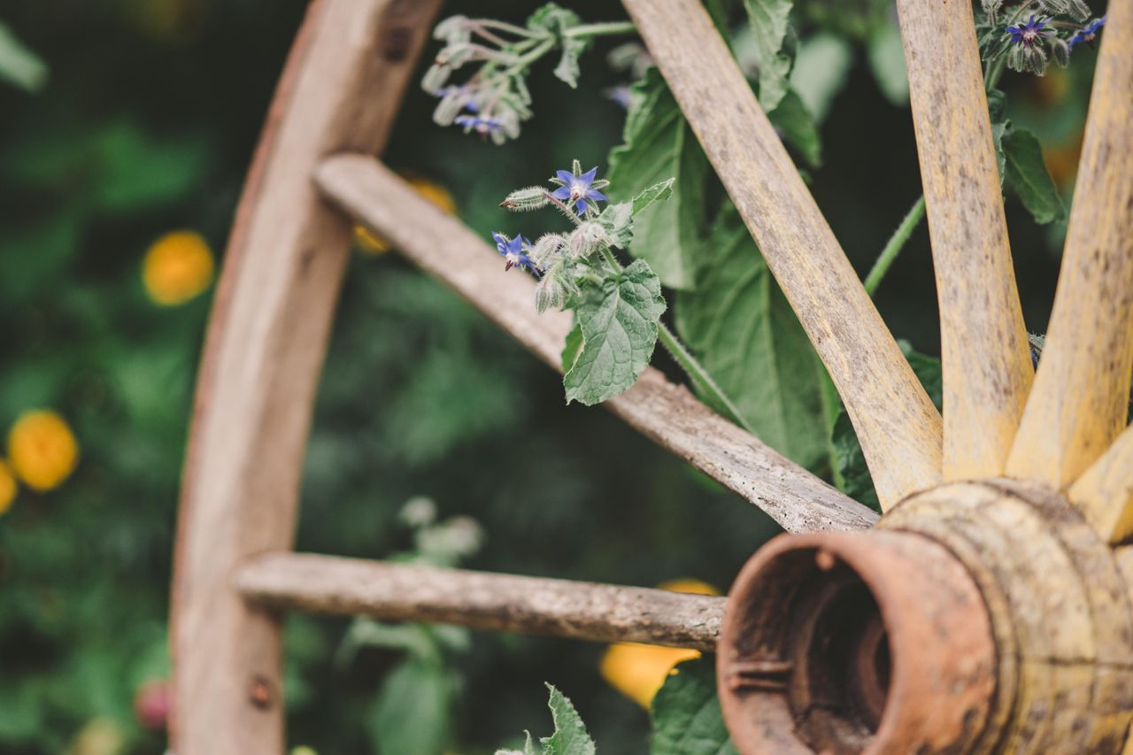 Rest der Welt PR & Marketing Event Schloss/Burg/Gut/Villa Gut Boltenhof image 10