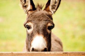 Rest der Welt PR & Marketing Event Schloss/Burg/Gut/Villa Gut Boltenhof image 10