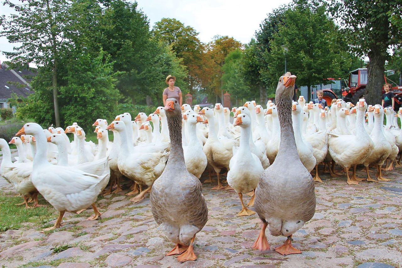 Rest der Welt PR & Marketing Event Schloss/Burg/Gut/Villa Gut Boltenhof image 10