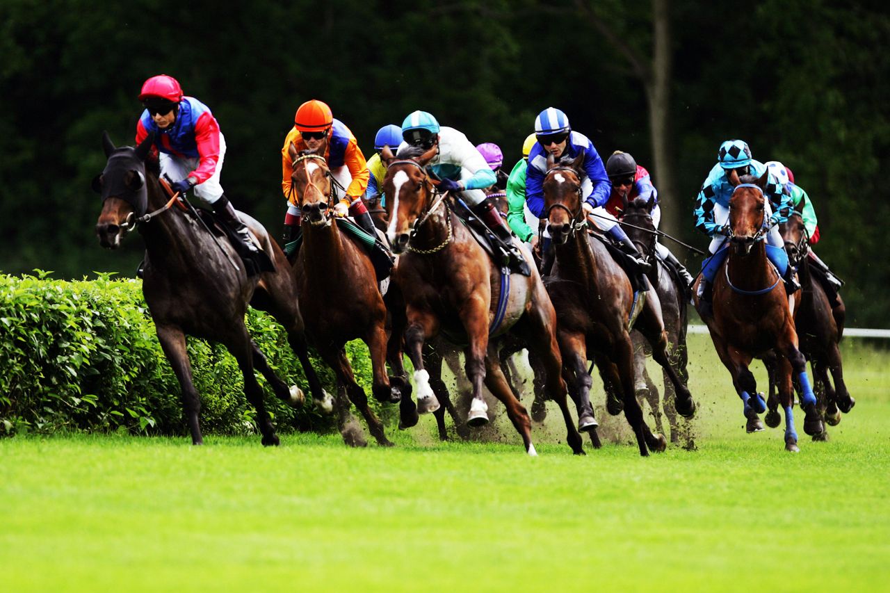 Wandlitz PR & Marketing Event Erlebnislocation/Sportstätte Rennbahn Hoppegarten image 10