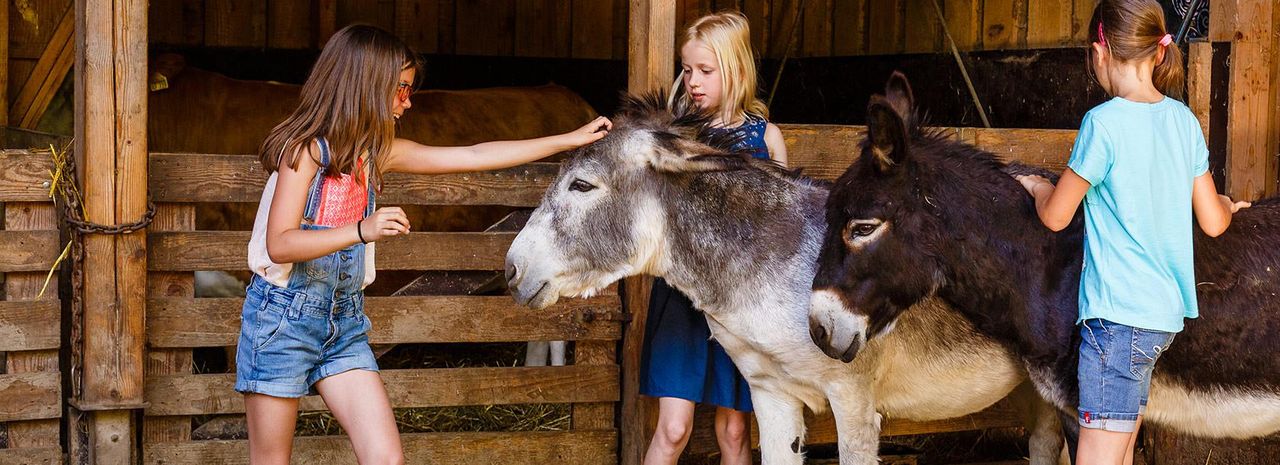 Fellbach PR & Marketing Event Alm/Scheune/Bauernhof Der Sonnenhof image 10