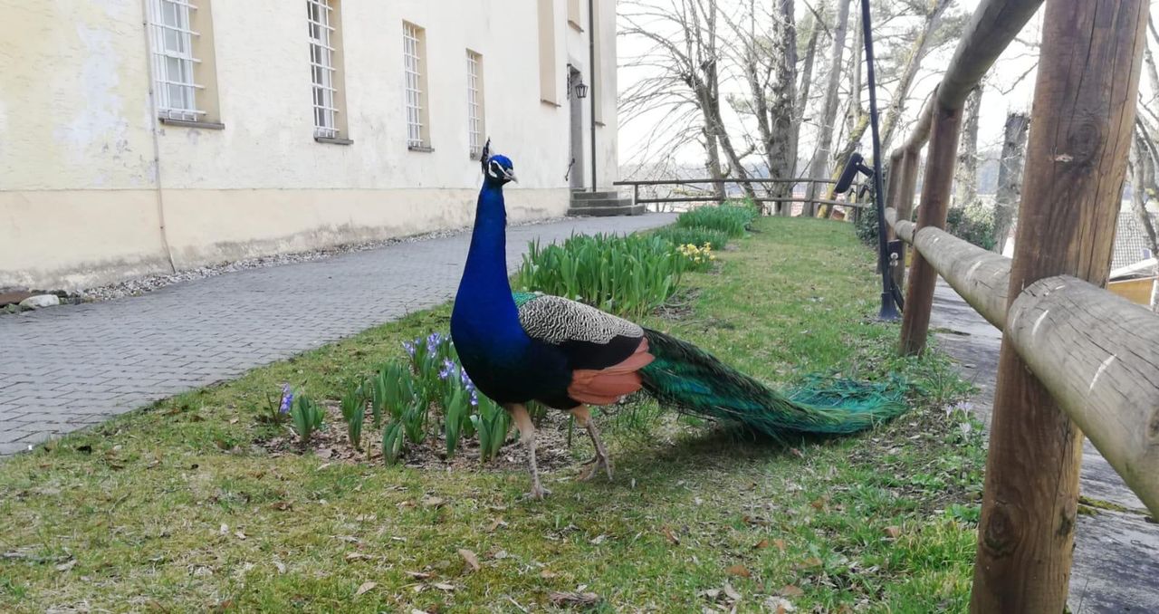 Rest der Welt PR & Marketing Event Schloss/Burg/Gut/Villa Schloss Guteneck image 10