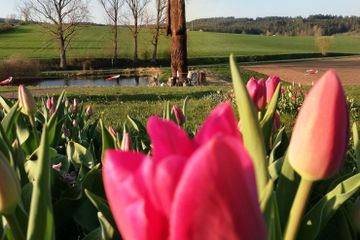 Rest der Welt PR & Marketing Event Schloss/Burg/Gut/Villa Schloss Guteneck image 10